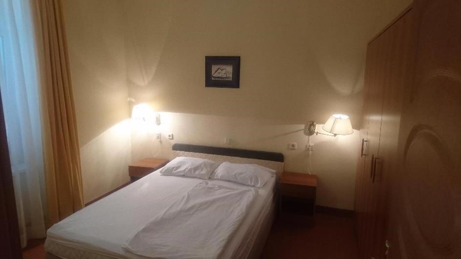 Hotel Vila Ruzica- Glavna Zgrada I Depandanse Криквеница Екстериор снимка