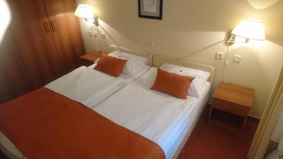 Hotel Vila Ruzica- Glavna Zgrada I Depandanse Криквеница Екстериор снимка