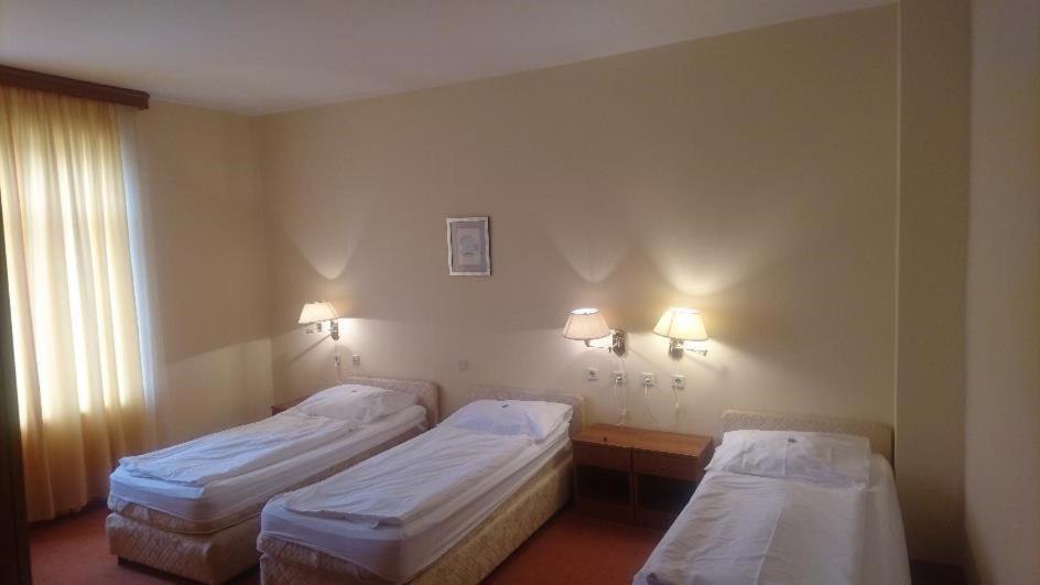 Hotel Vila Ruzica- Glavna Zgrada I Depandanse Криквеница Екстериор снимка